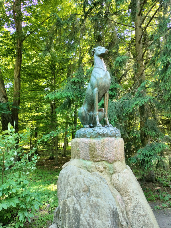 IMG20250621154746