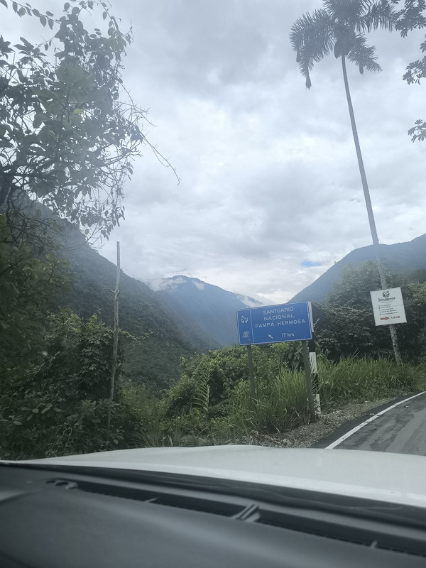 run_2025-09-10_12-10-24_w21_photo_0