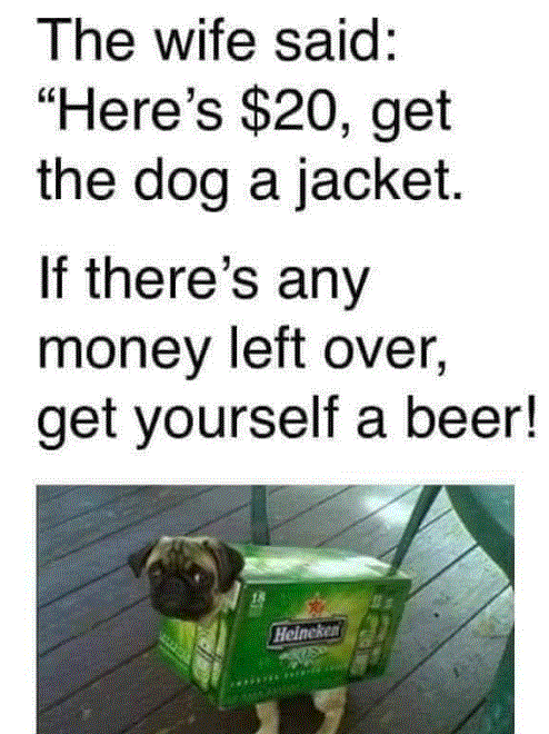 dog jacket