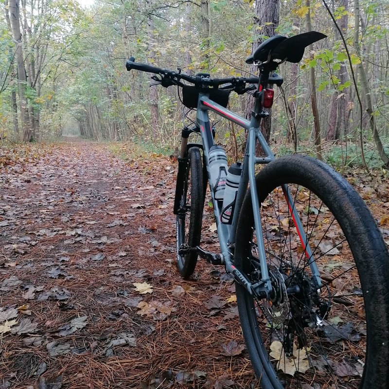 IMG_20211031_111947_237_191476639718698