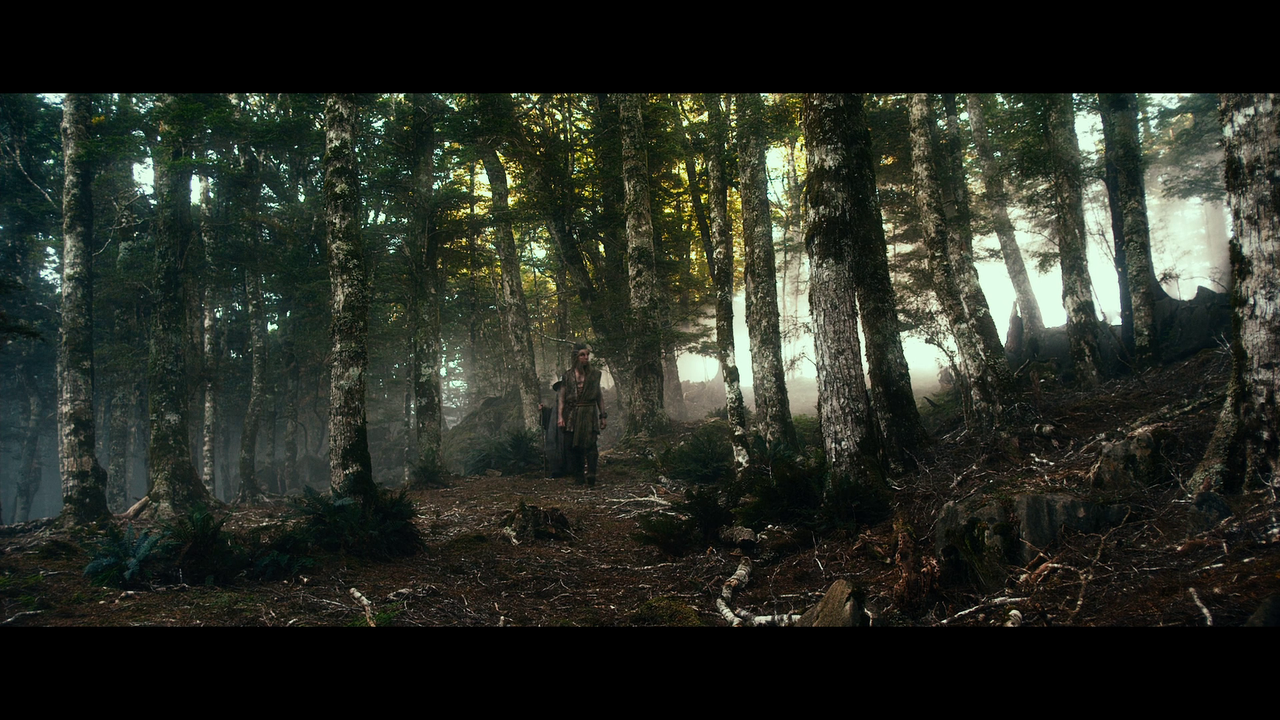 vlcsnap-2024-01-17-21h31m58s310