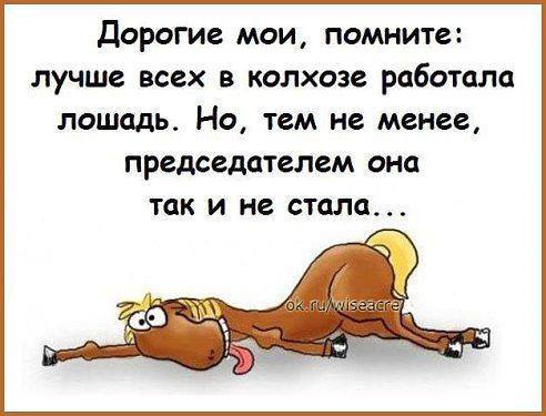 https://i.postimg.cc/NfbRcxQn/10530913-581403998660822-3753946848077668936-n.jpg