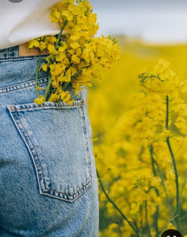 Screenshot_20240601_160103_Pinterest