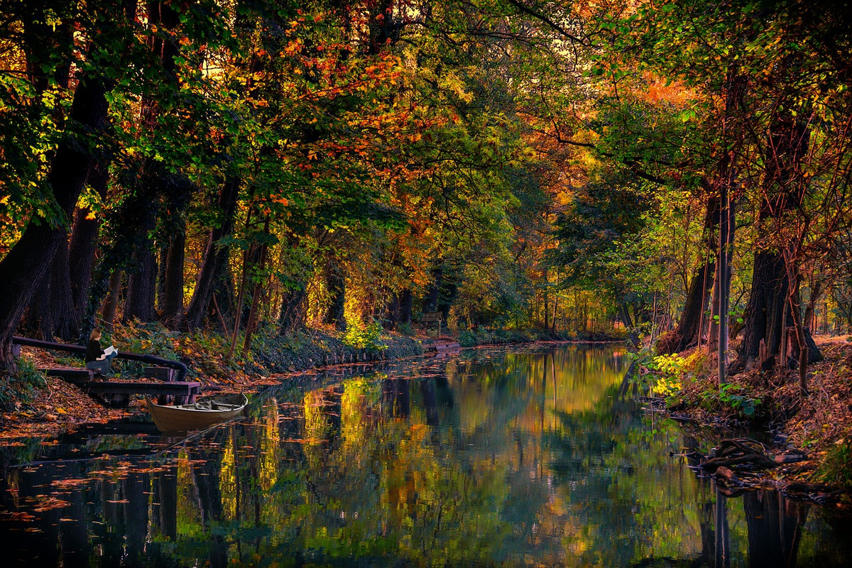 green-canal-spreewald-3972191-1280.jpg