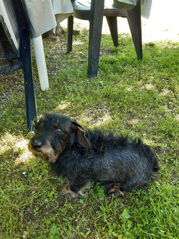 [Image: 20230503-165427.jpg]