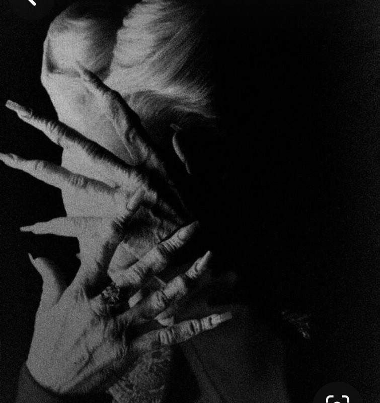 Screenshot_20240215_095812_Pinterest