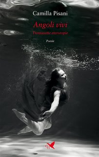 Camilla Pisani - Angoli vivi (2024)