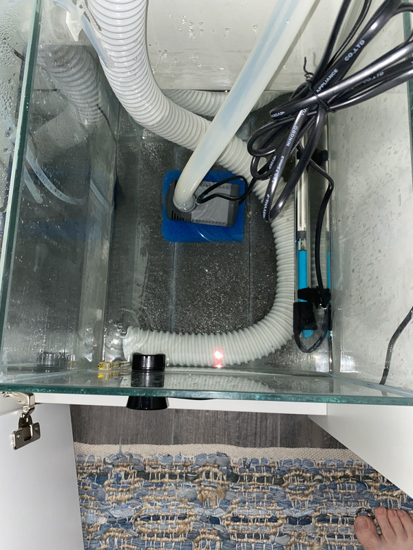 16C5D5A6-A2D1-4673-955B-2EC0BE218541