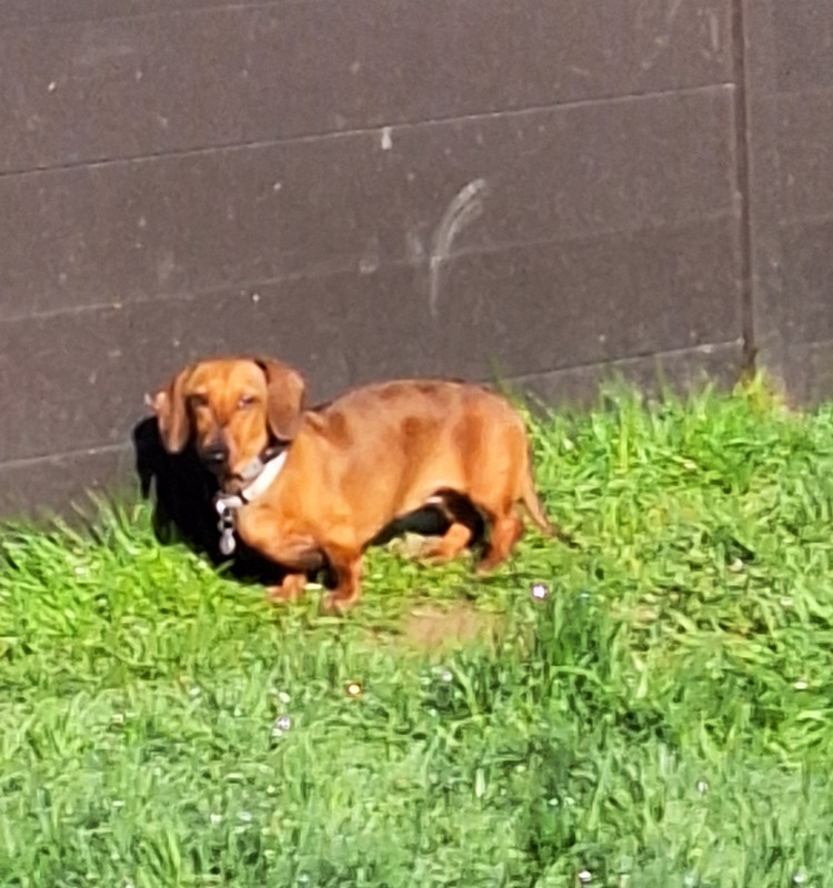 [Image: 20240311-094538.jpg]