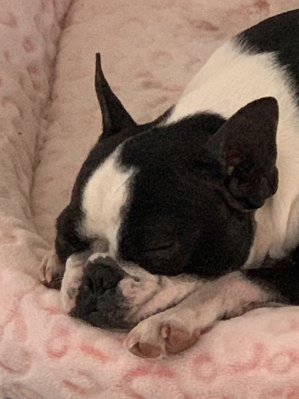 750D7389-52DB-412D-B590-72EE043F13EB