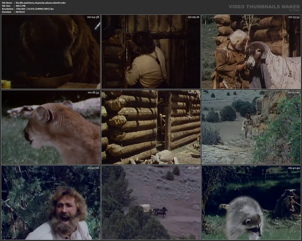the.life.and.times.of.grizzly.adams.s02e03.mkv