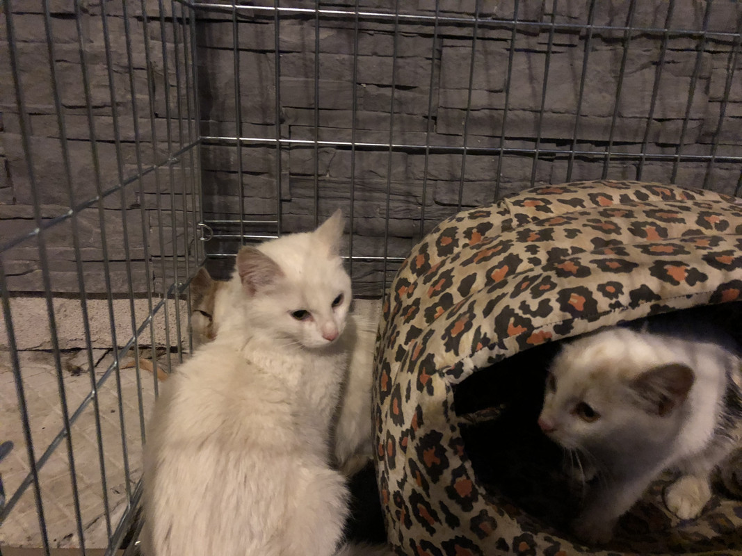 2909D31D-7BF3-4709-8F3B-0689679E4032