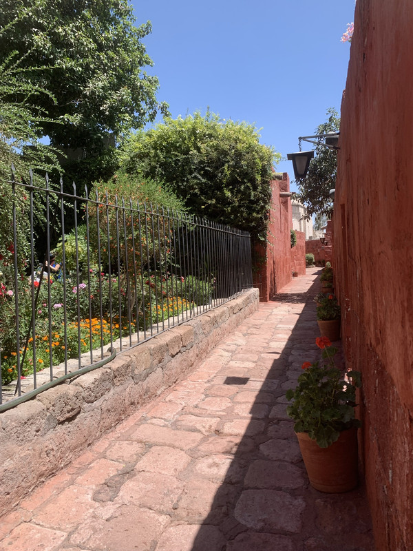 707DB26E-7DA0-41EE-A429-3B1EDD6A3872