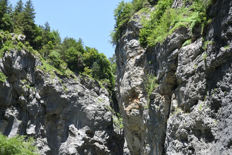 DSC-2150-Gorge-de-l-Aare-a-Meiringen-25-