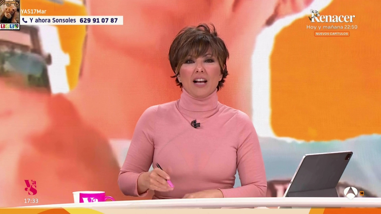 sonsolestransparencias_oso3