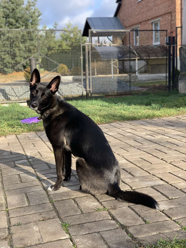 Буба позирует