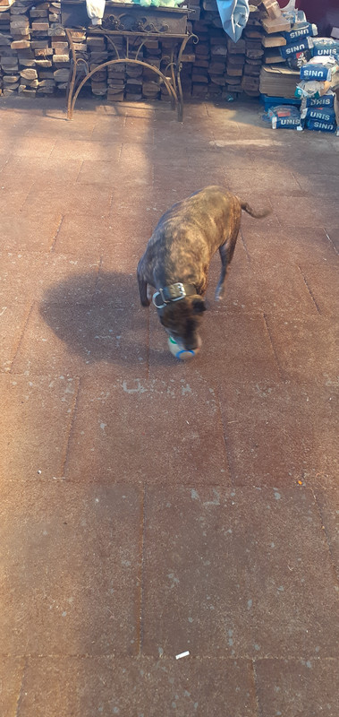 20250905_115134(0)[1]