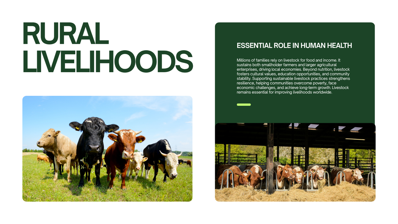 Green and White Simple Livestock Presentation