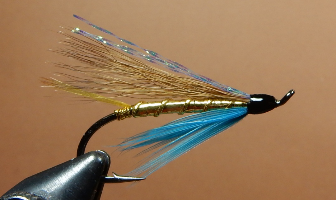 Bucktail_and_Gold_1080.jpg