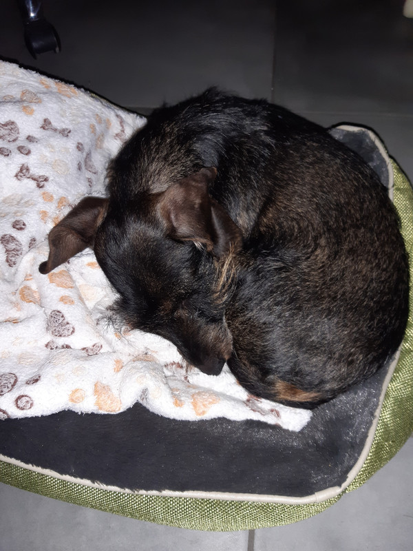 [Image: 20221225-180038.jpg]