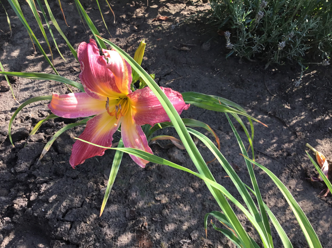 492B73ED-7A14-46EC-951B-10ECD3B5292E