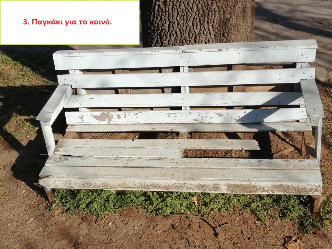 418977223-3544404275888682-2512984386474426043-n