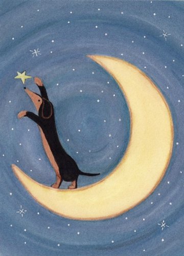 [Image: 51-ry-Rd3zs-L.jpg]