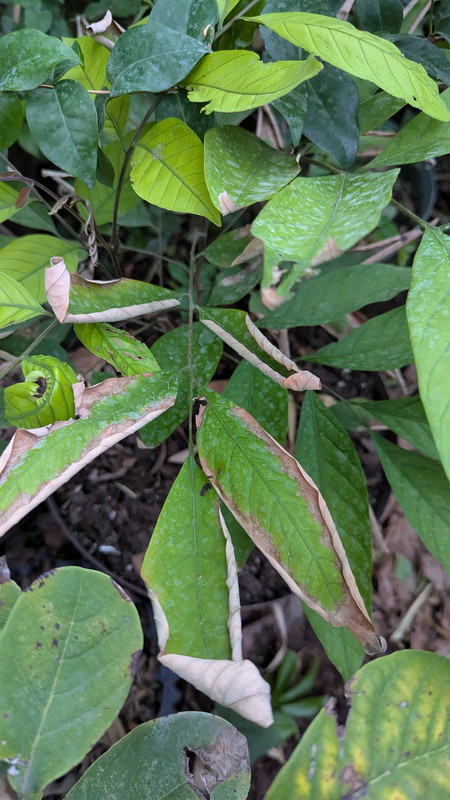 PXL_20250403_000553973