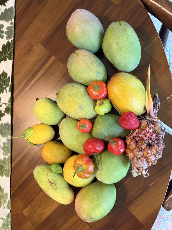 Mango Fruit Spread 626