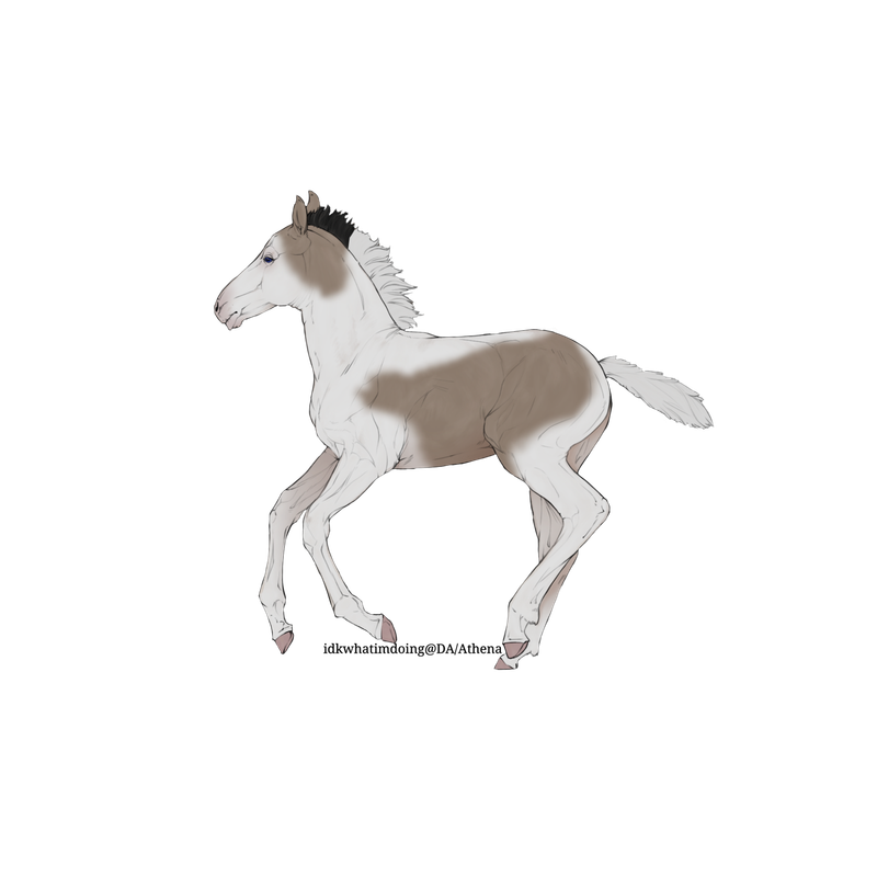 Untitled88-20250725185021.png