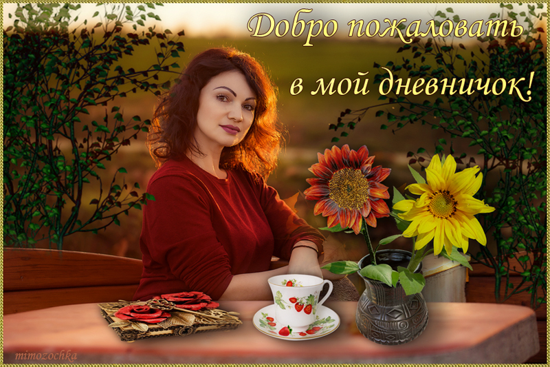 Добро пожаловать1