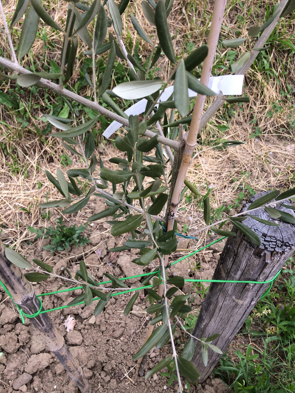 19FA2A7F-9EA9-4C4F-9647-AB9C7004F9D2