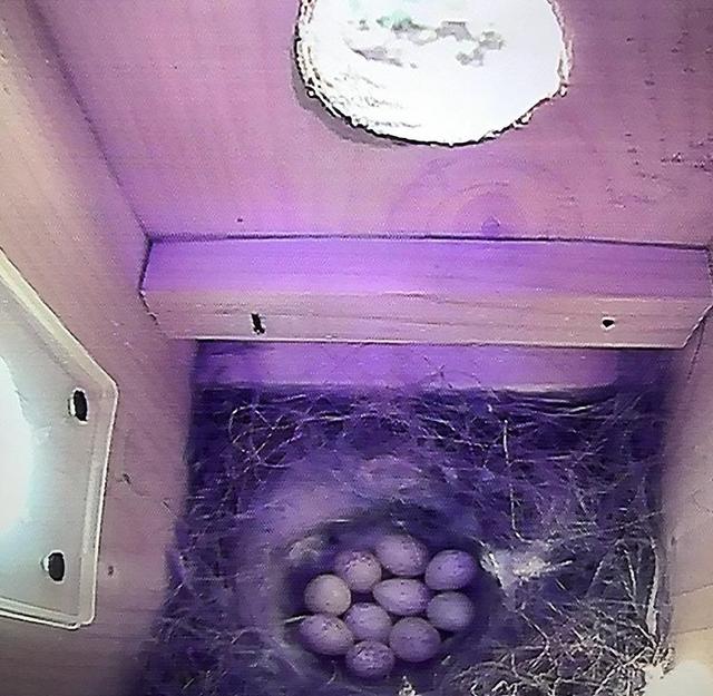 2CF6FF1F-7068-4612-912E-C3E3FAFCDB61