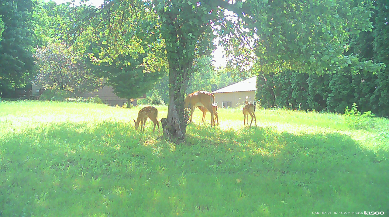 9BBE2FC0-450D-4F01-8FB9-C3BFA7BEE170