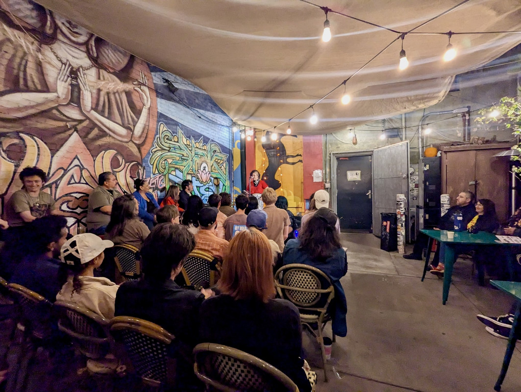 Photo of the crowd from the back, with me reading on stage in the distance