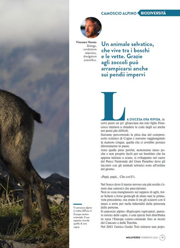 melaverde Feb 2022 (2)