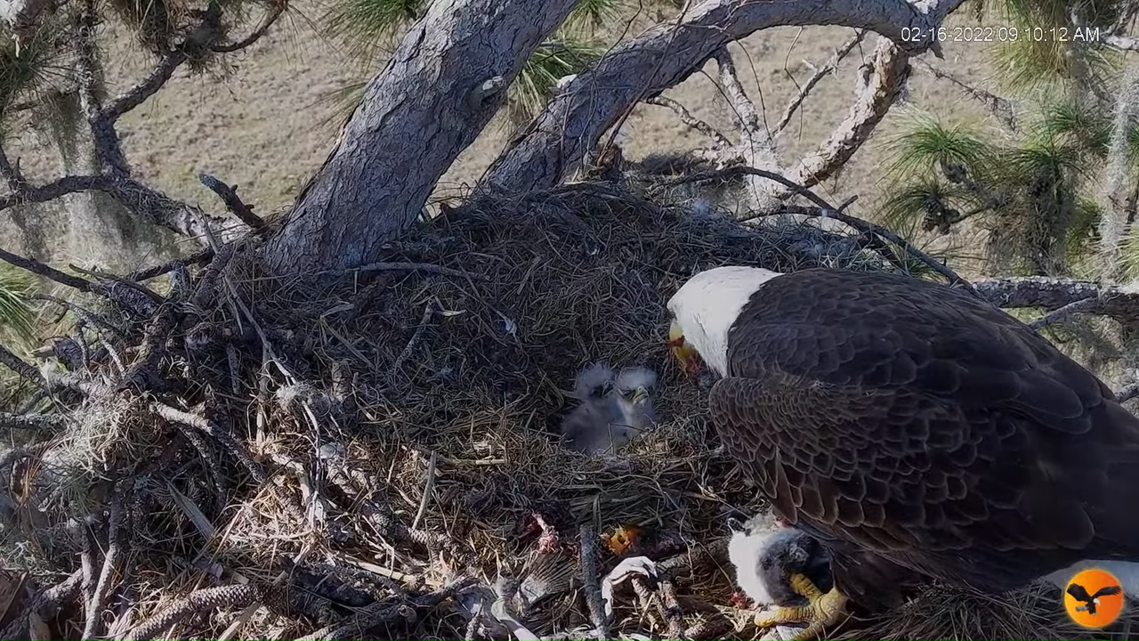 EC 4K Overhead Cam 11-36-18 screenshot