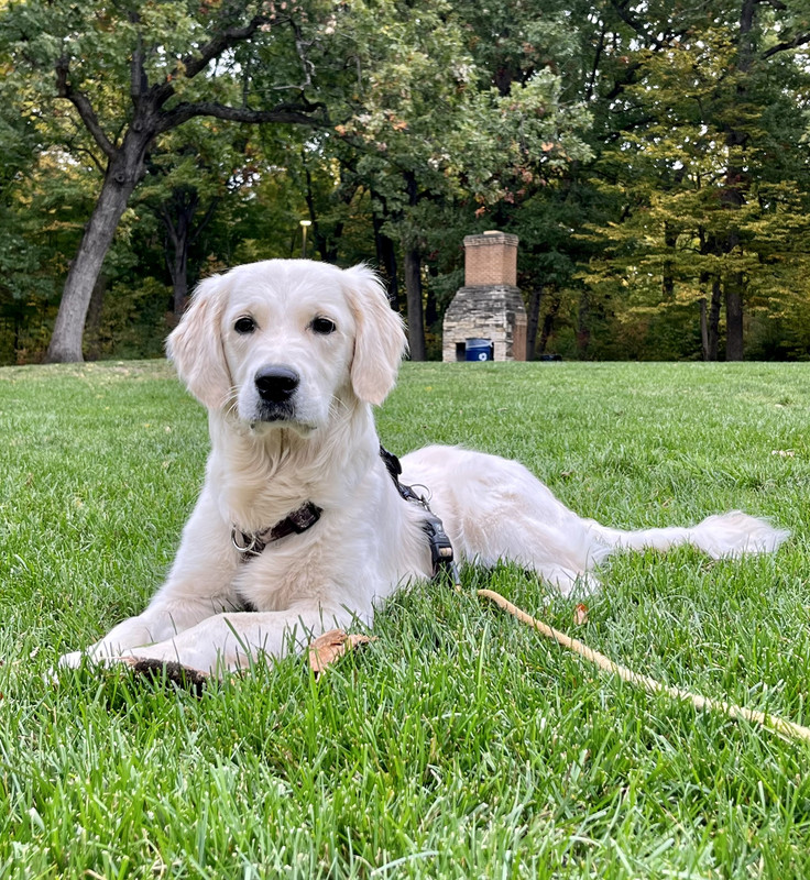 A28F1CC1-D1CE-4230-B0DB-EADB87276459