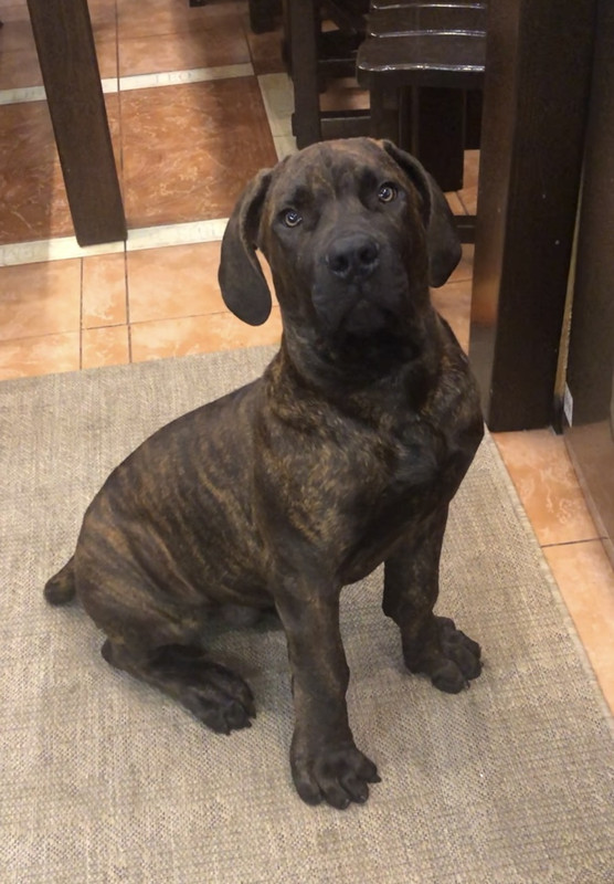 B574DED0-E7A5-4A69-BD90-543391BD50B9