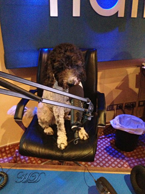 Digger-at-the-studios-HD.jpg