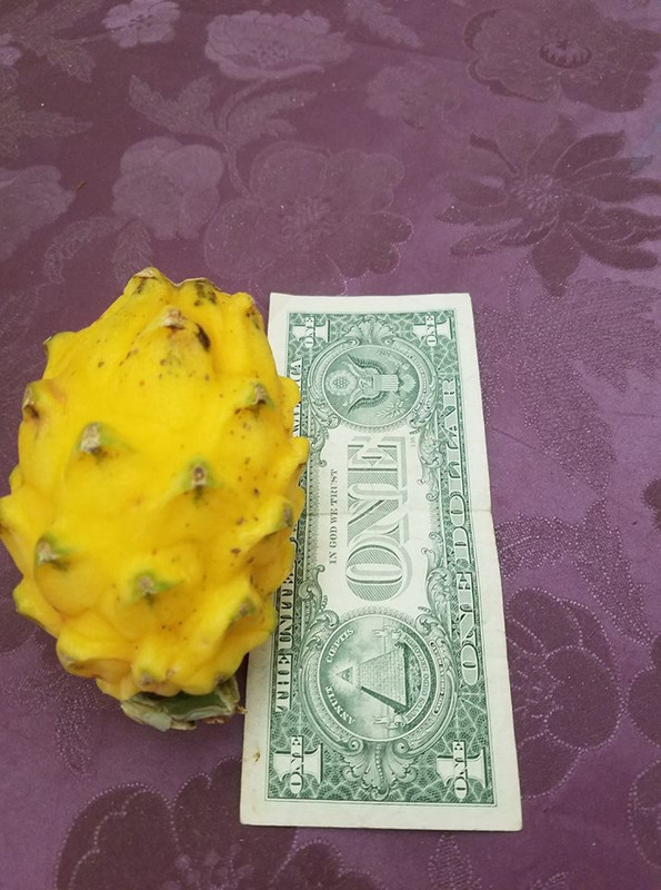 1dollar