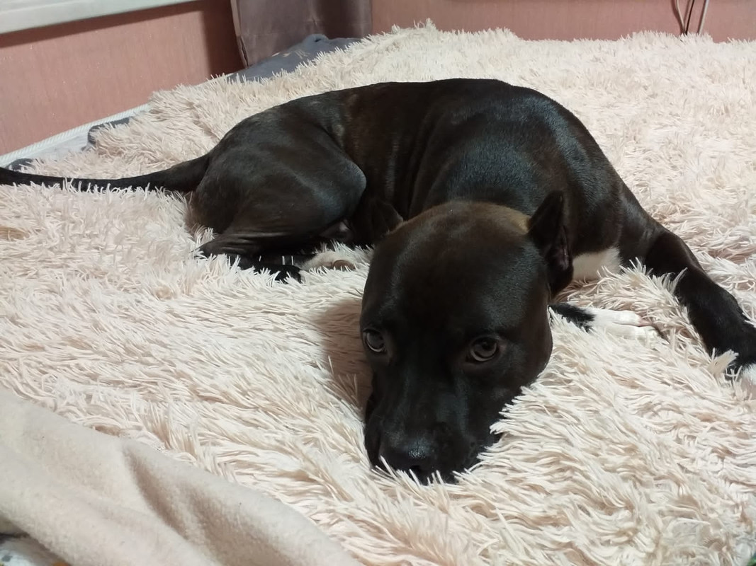 BB183AAB-2D97-40D6-A519-A4069F32F83D