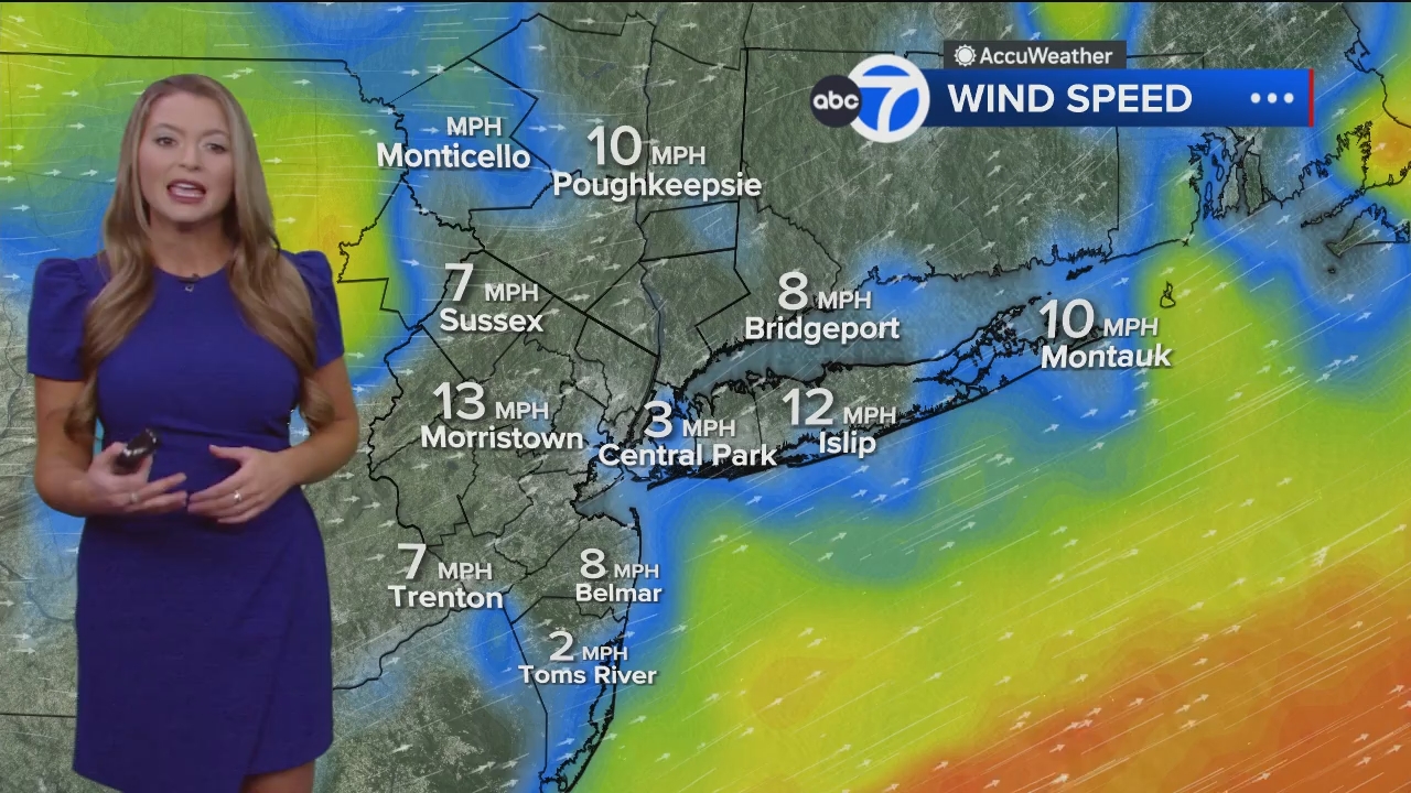 Eyewitness News Mornings at 10_20241101_14001500.ts_snapshot_17.56.348