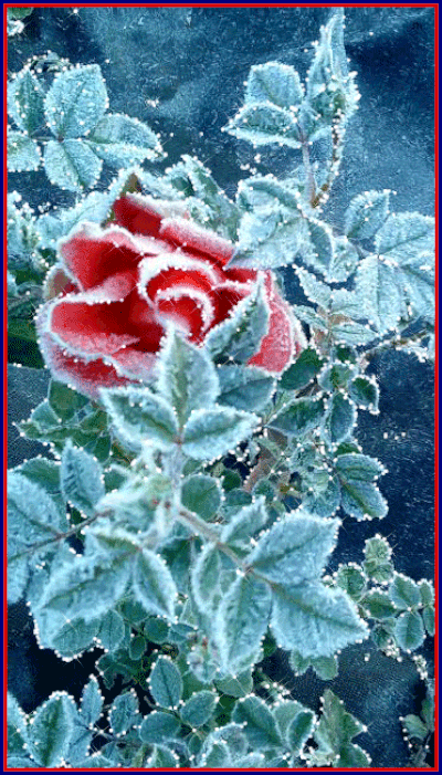 8aaaaaaaaaaaaaaaaaaa