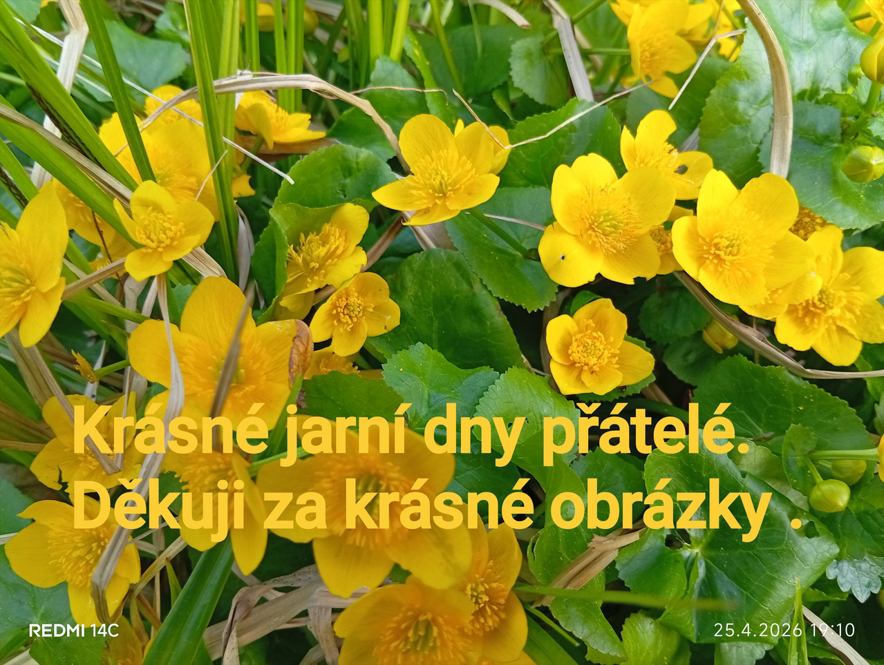 IMG-20260428-154909