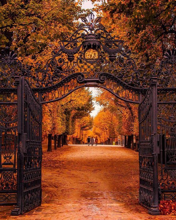 orangeparkgates.jpg