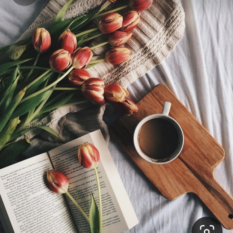 Screenshot_20230426_215851_Pinterest