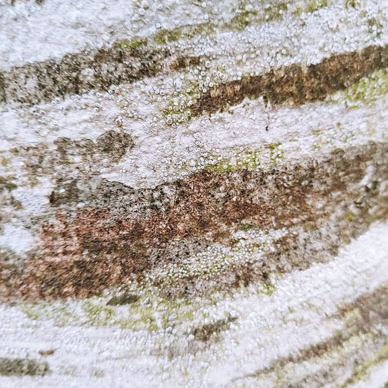 IMG_20210508_181637_978