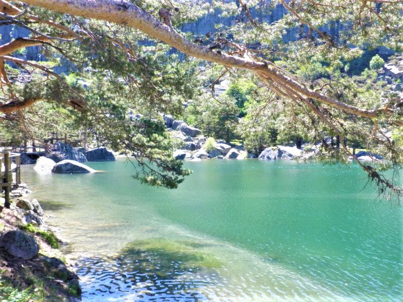 Soria y sus pueblos-2010/2013/2020 - Blogs de España - LAGUNA NEGRA DE URBION-23-6-2010 (2)