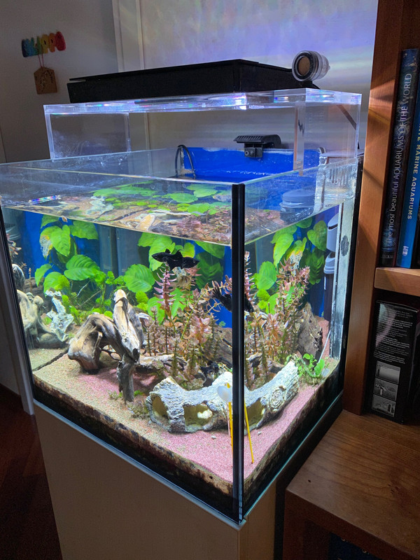 6AA87084-B615-4346-98B1-0A474C45A336